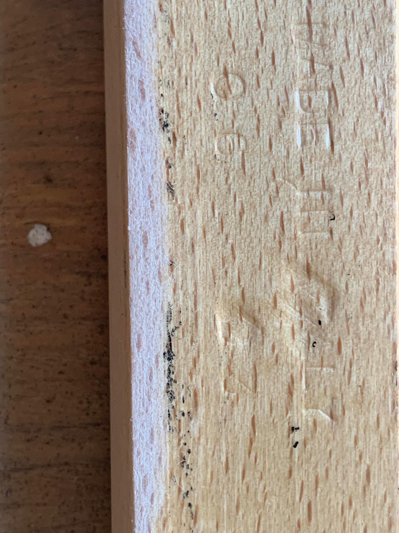 Pair of mid century Cesca chairs by Marcel Breuer