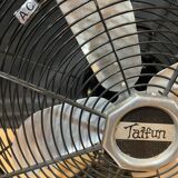 Fan Taifun year 70