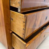 Biedermeier Ebonized Chest of Drawers in Cherry Veneer, South Germany, 1830