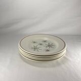 1950s Vintage French Gien Set of 5 Dessert Plates with Comets pattern