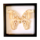 Naturalized butterfly frame