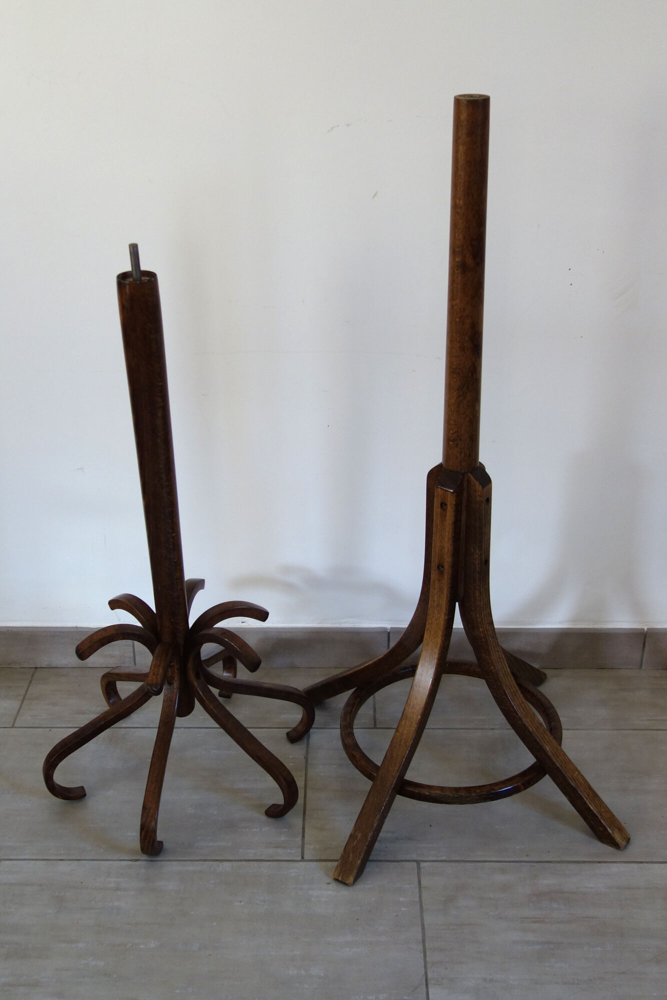 Baumann parrot coat holder