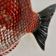 Bordalo pinheiro large majolica fish plate
