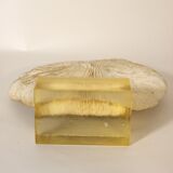 Coral on its resin base