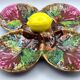 Vintage Vallauris A.M. plate – quadrilobed enamelled bowl with lemon – 50s