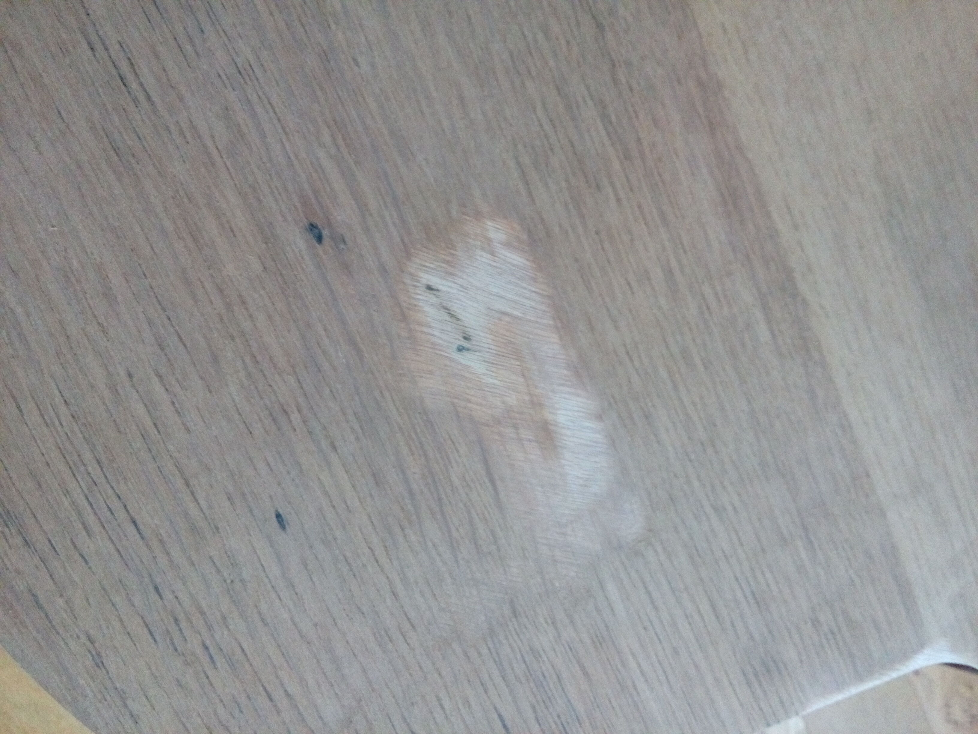 Coffee table bean feet tapered compass