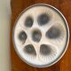 Assiettes coquillage