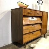 Vintage teak chassure furniture 1960