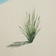 Contemporary painting on landscape canvas 75 x 115 cm