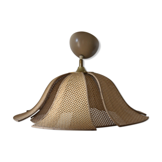 Vintage petal caning chandelier