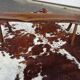 Brutalist bench in solid wood