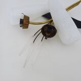 Applique murale vintage brin de blé en laiton à tulipe en verre, Années 60