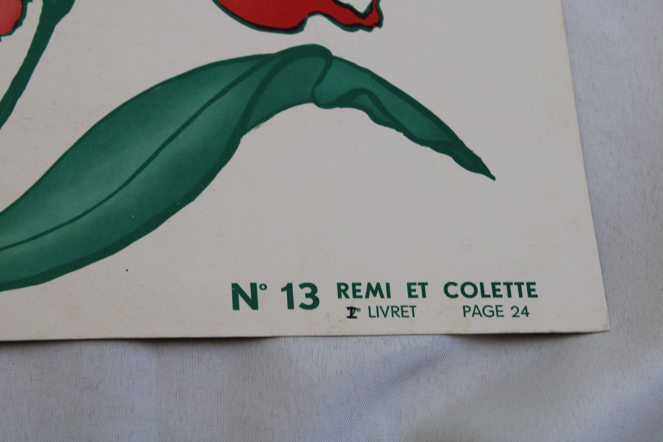 Poster Rémi and Colette