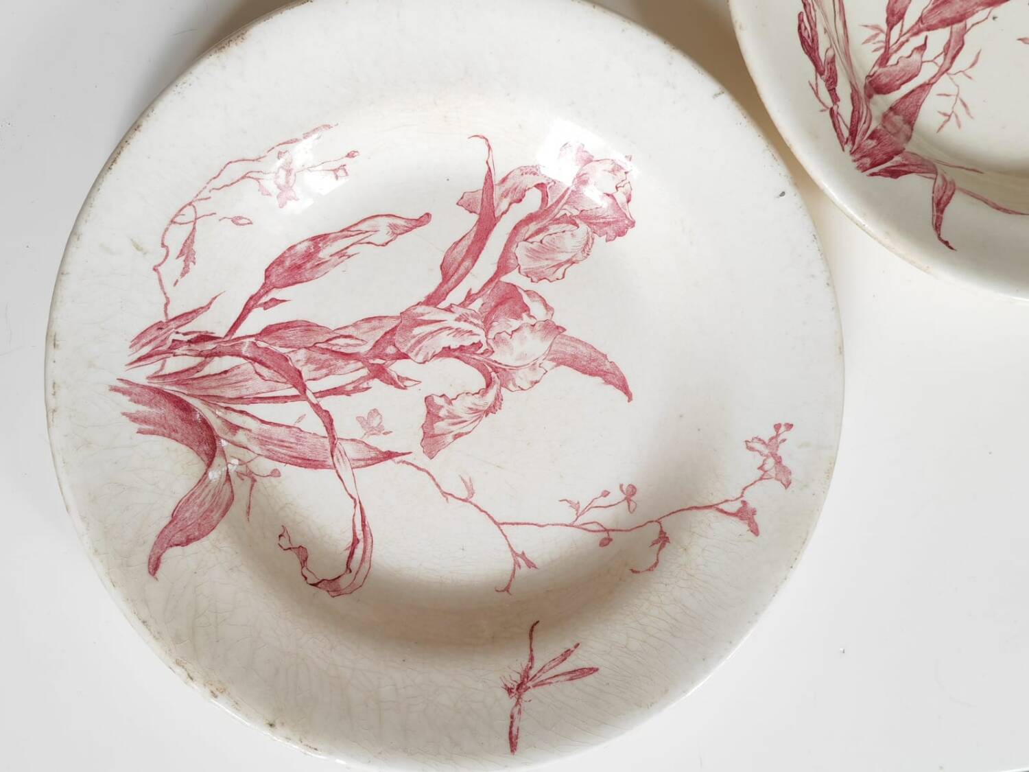 2 Iris iron earth plates