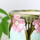 Mini slip planter