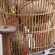 Wicker basket