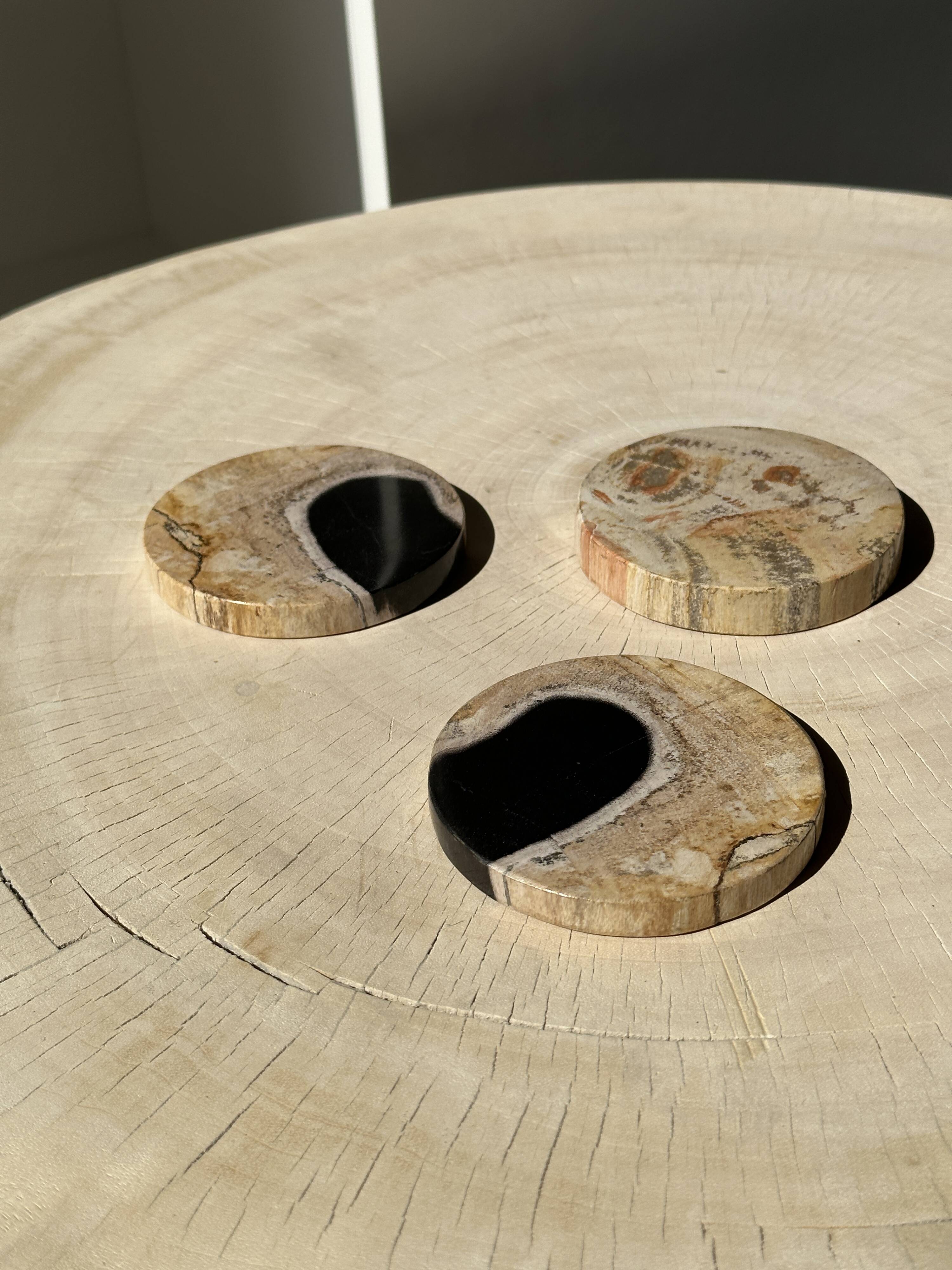 Set of 3 fossilized wood coasters (clear)