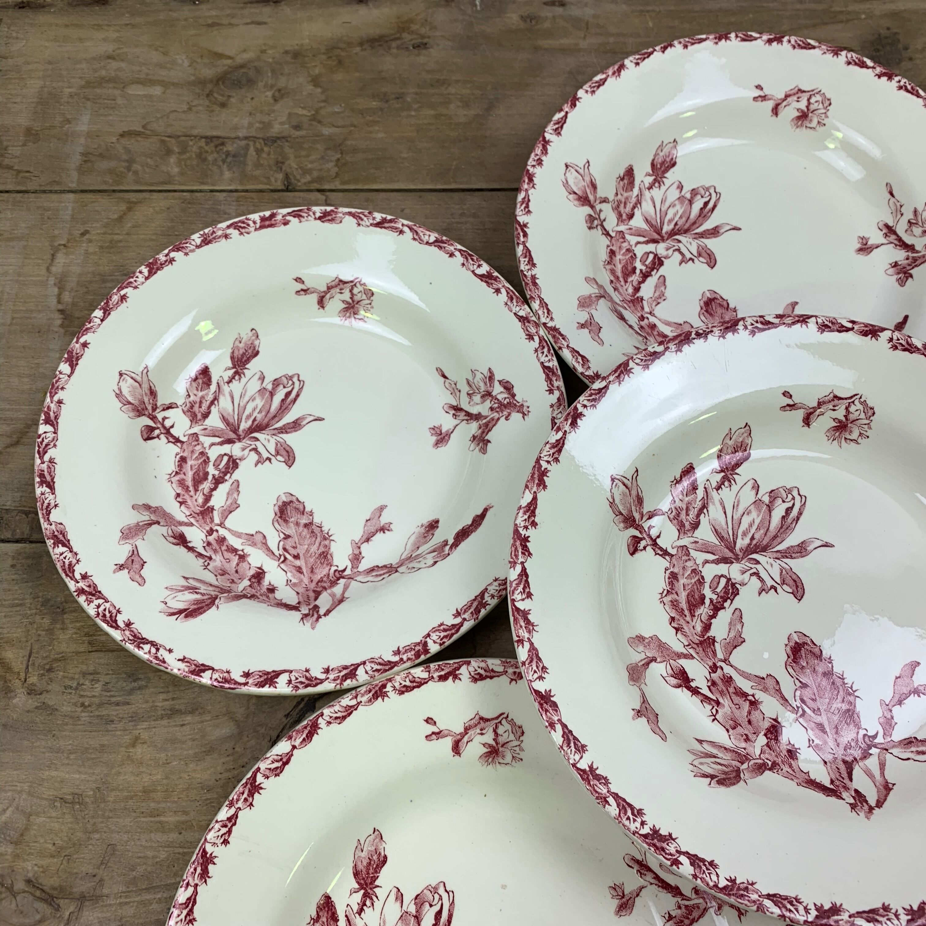 Lot de 6 assiettes creuses modèle Cactus de Gien