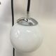 White globe wandering applied