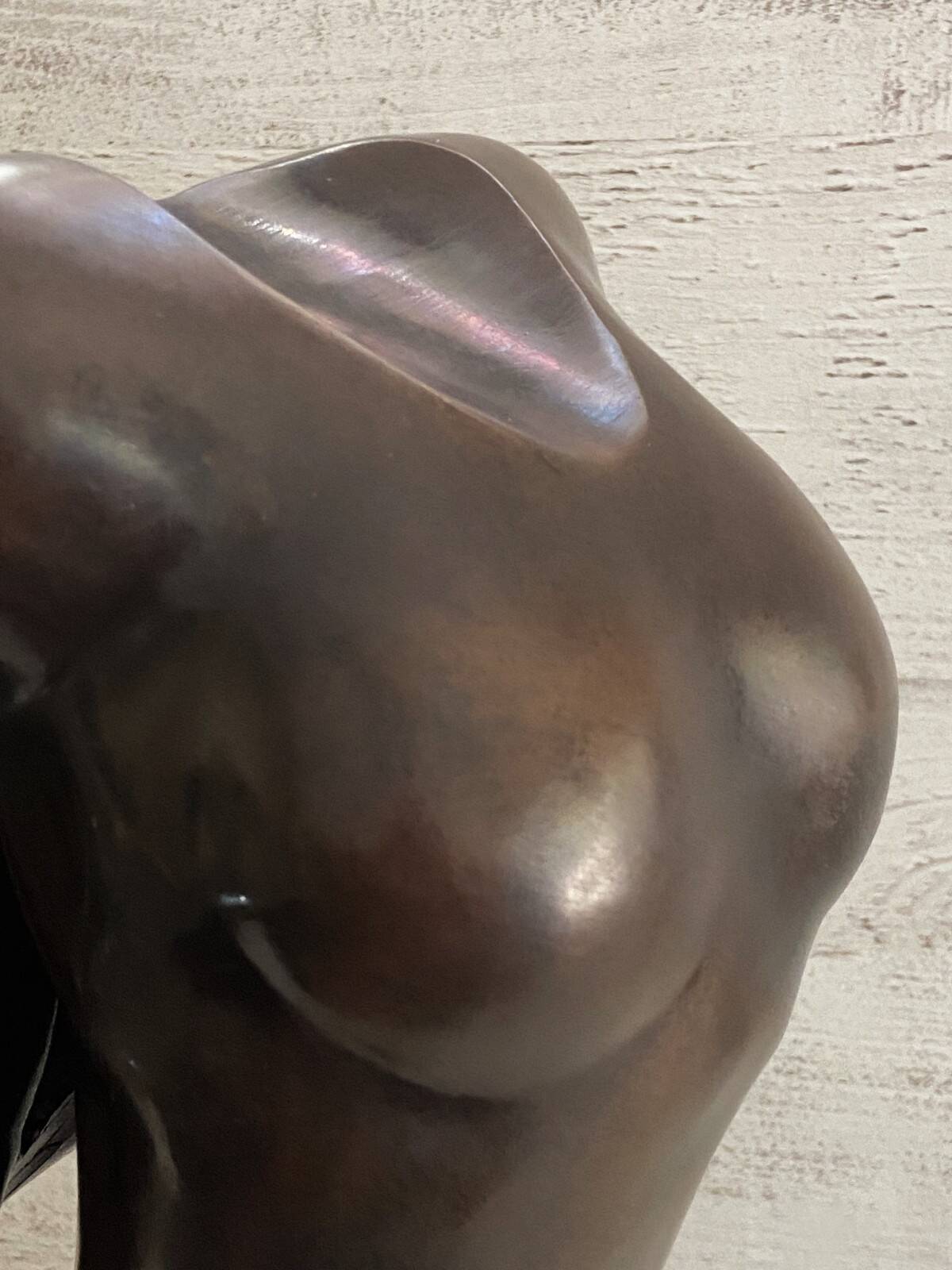 Patinated Bronze Sculpture Statue Signed S. Dali Female Body
