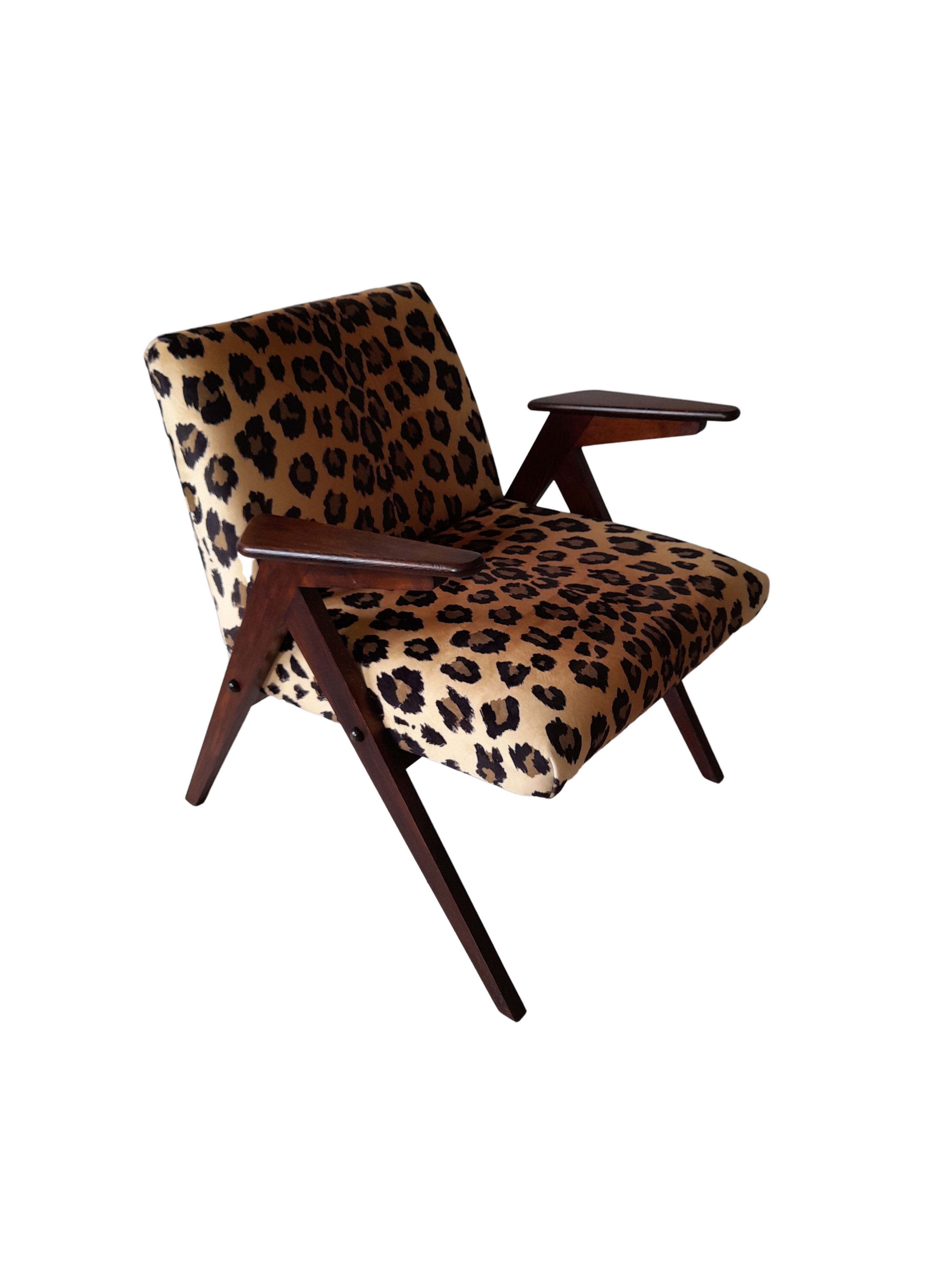 Leopard print velvet bunny armchair from dolnośląskie fabryki mebli, 1960