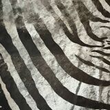 Genuine zebra print skin rug