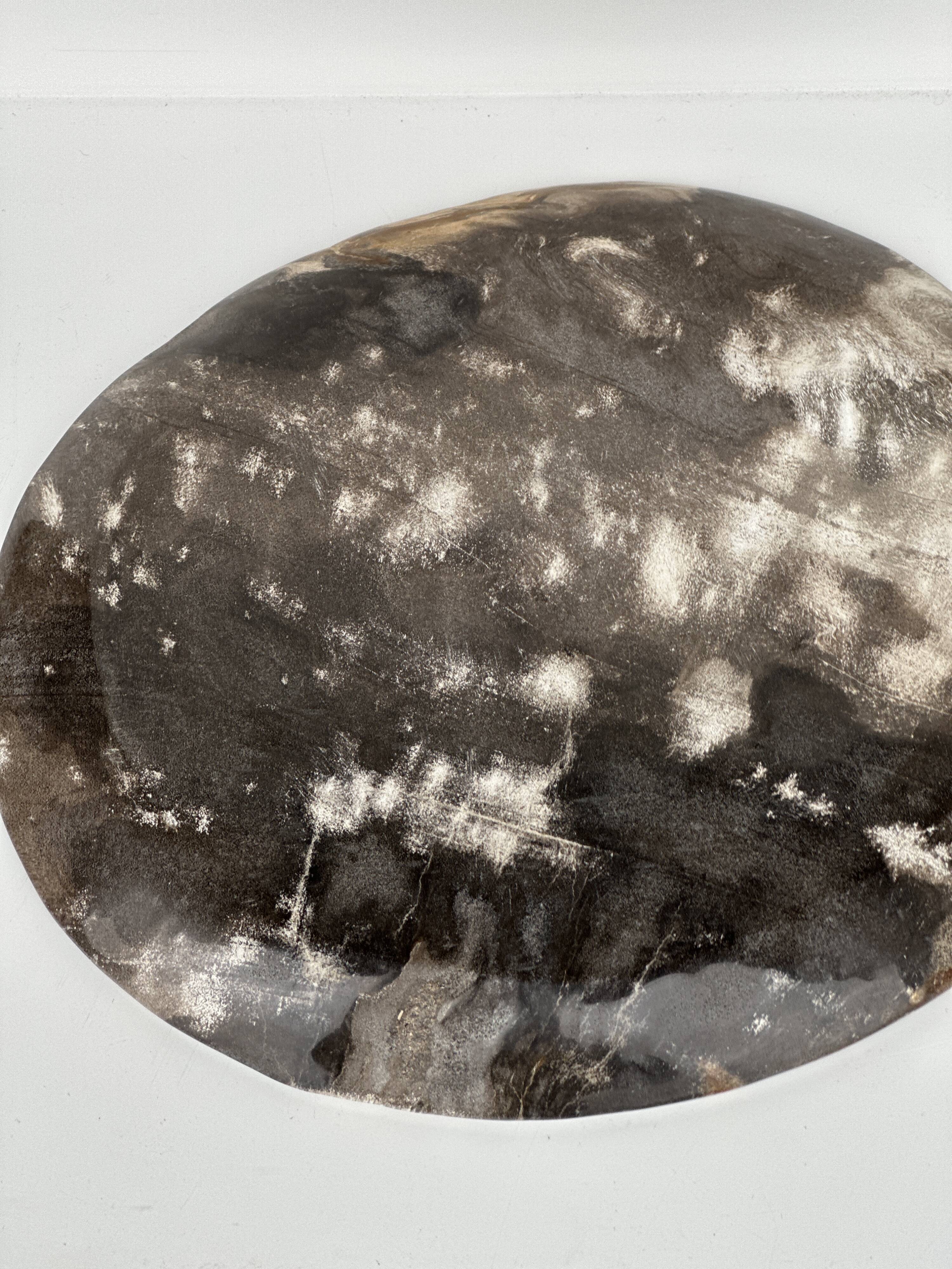 Dish in petrified wood