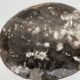 Dish in petrified wood