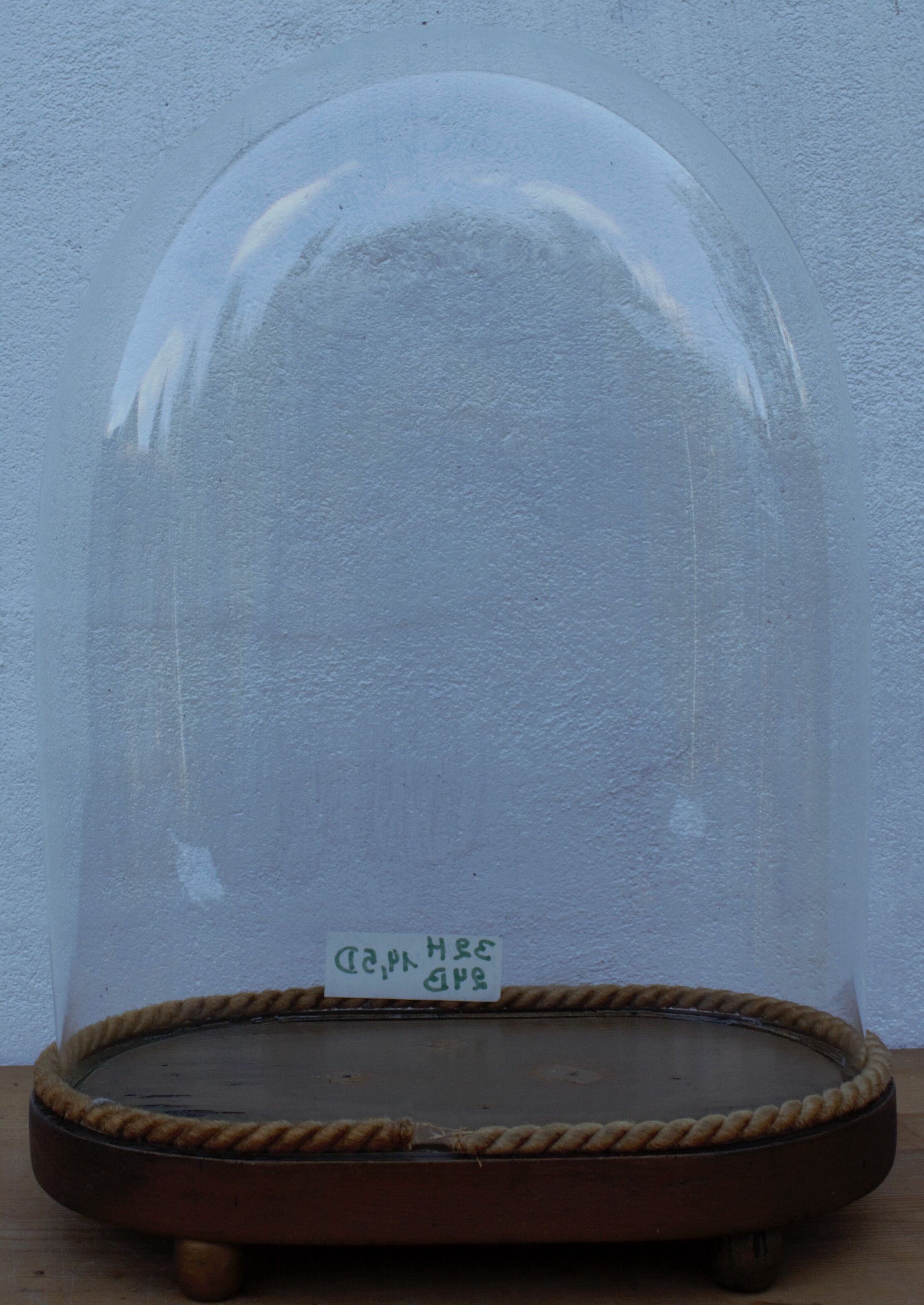 Antique wedding globe in oval glass 32 cm high