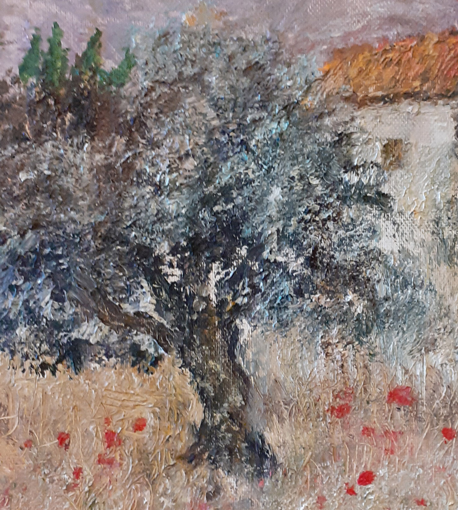 Landscape with olive trees