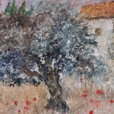 Landscape with olive trees
