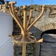 Vintage rattan parrot coat rack 1970