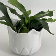 Cache-pot années 60 en porcelaine