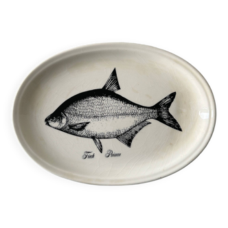 Old gien fish dish for tecta