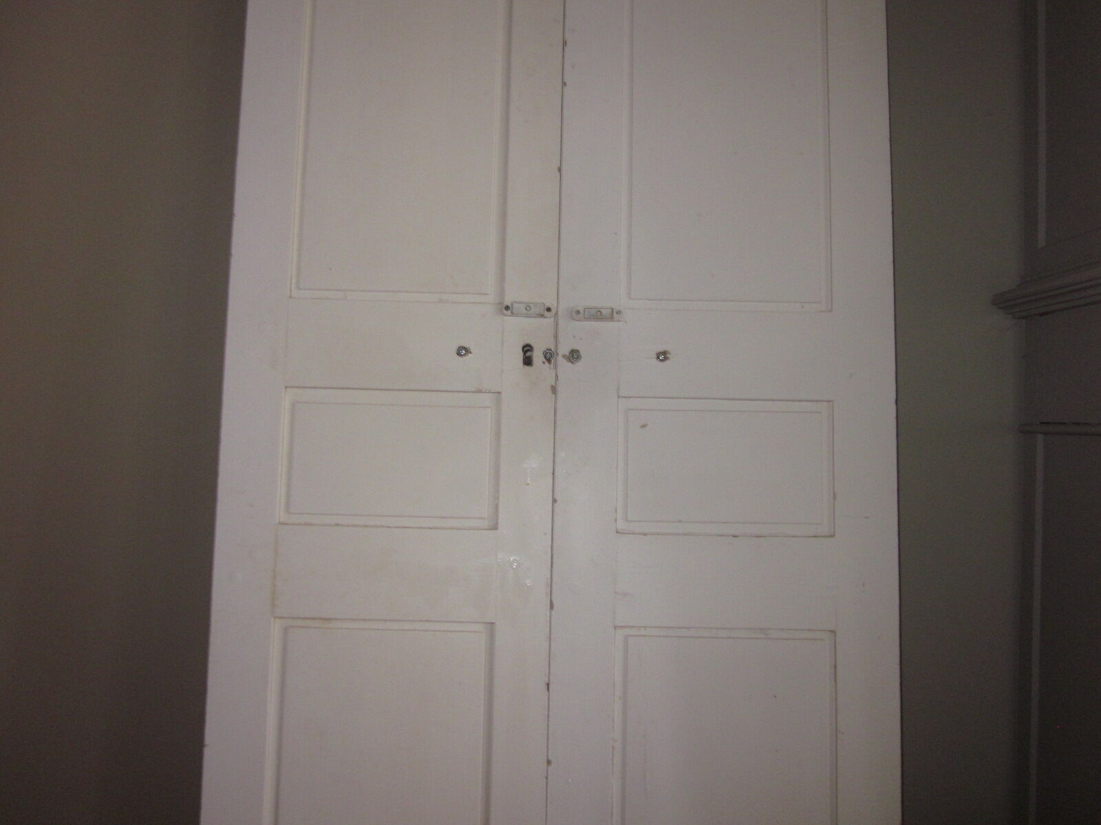 Old closet door pair