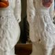 Pair of ceramic Staffordshire dogs late 19th century