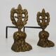 Pair of bronze fire dogs with lion paws. Early 20th century.