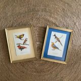 Ornithological frames “birds in cages”.
