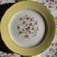 Lot de 19 grandes assiettes plates vintage jaunes fleurs roses liseré doré