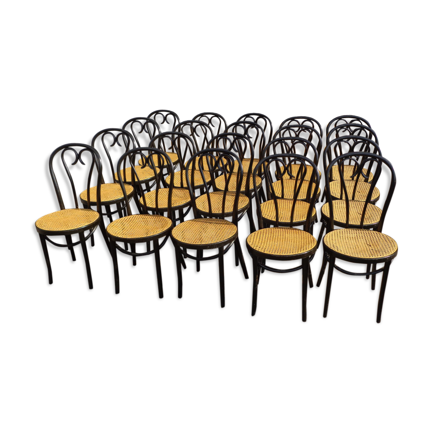 Set of 20 curved wooden chairs