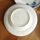 Set of 5 dessert plates, blue floral decoration