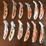 Series of 12 shell knife holders