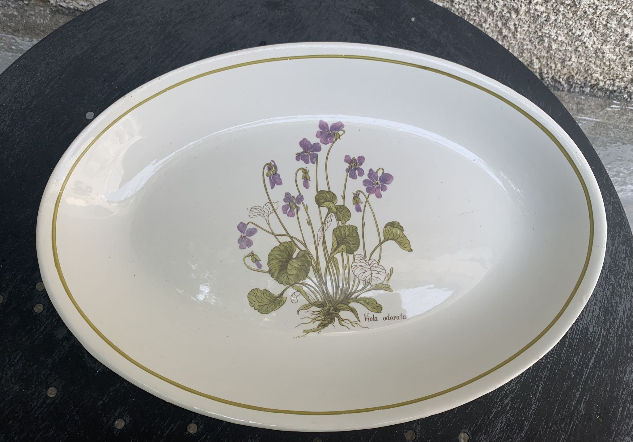 Serving dish in earthenware herbarium model, viola odorata mill of wolves orchies france vintage