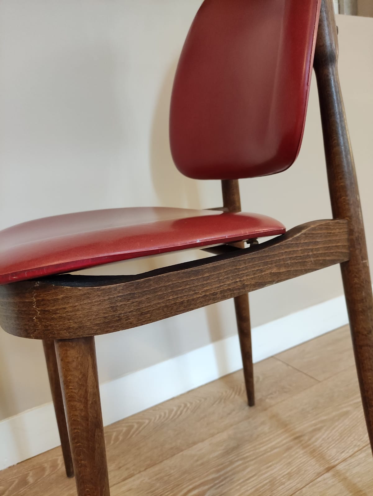 Pegasus model chair by Bauman