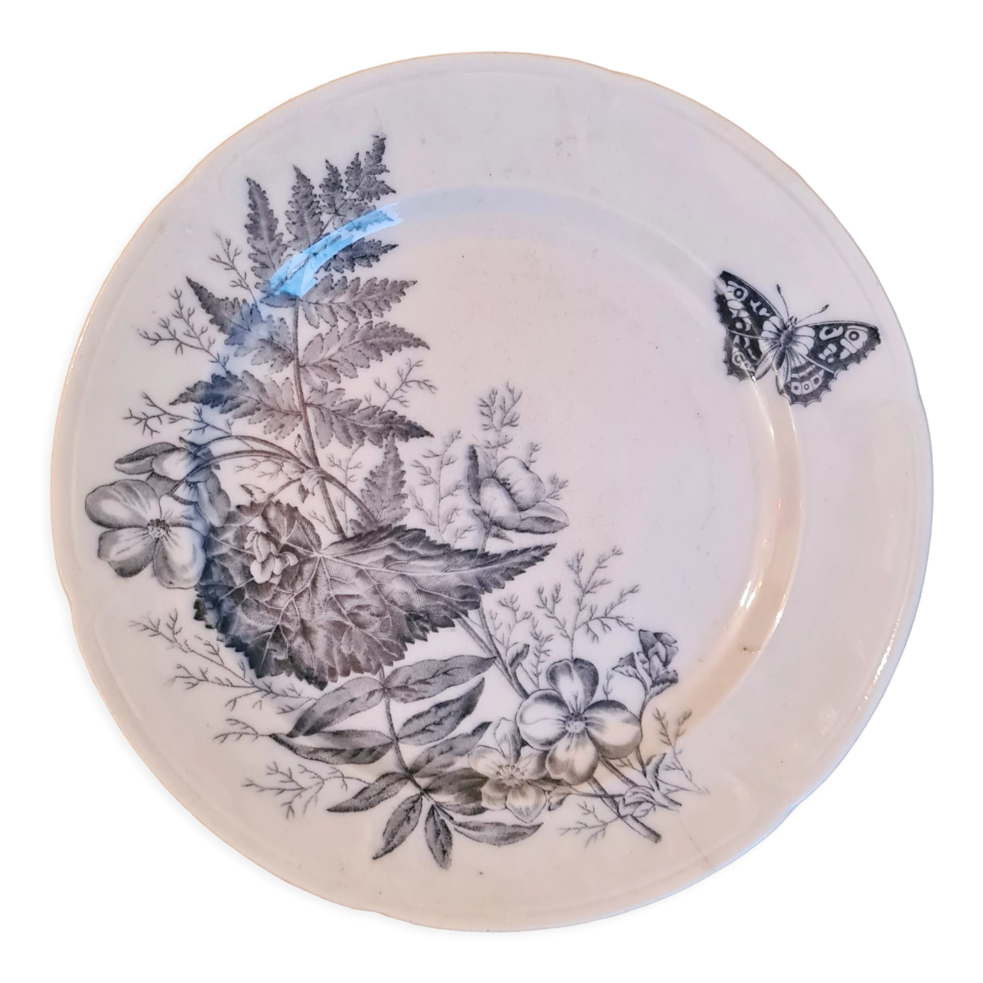Rare plate iron earth sandeman mc dougall model fern (fern)
