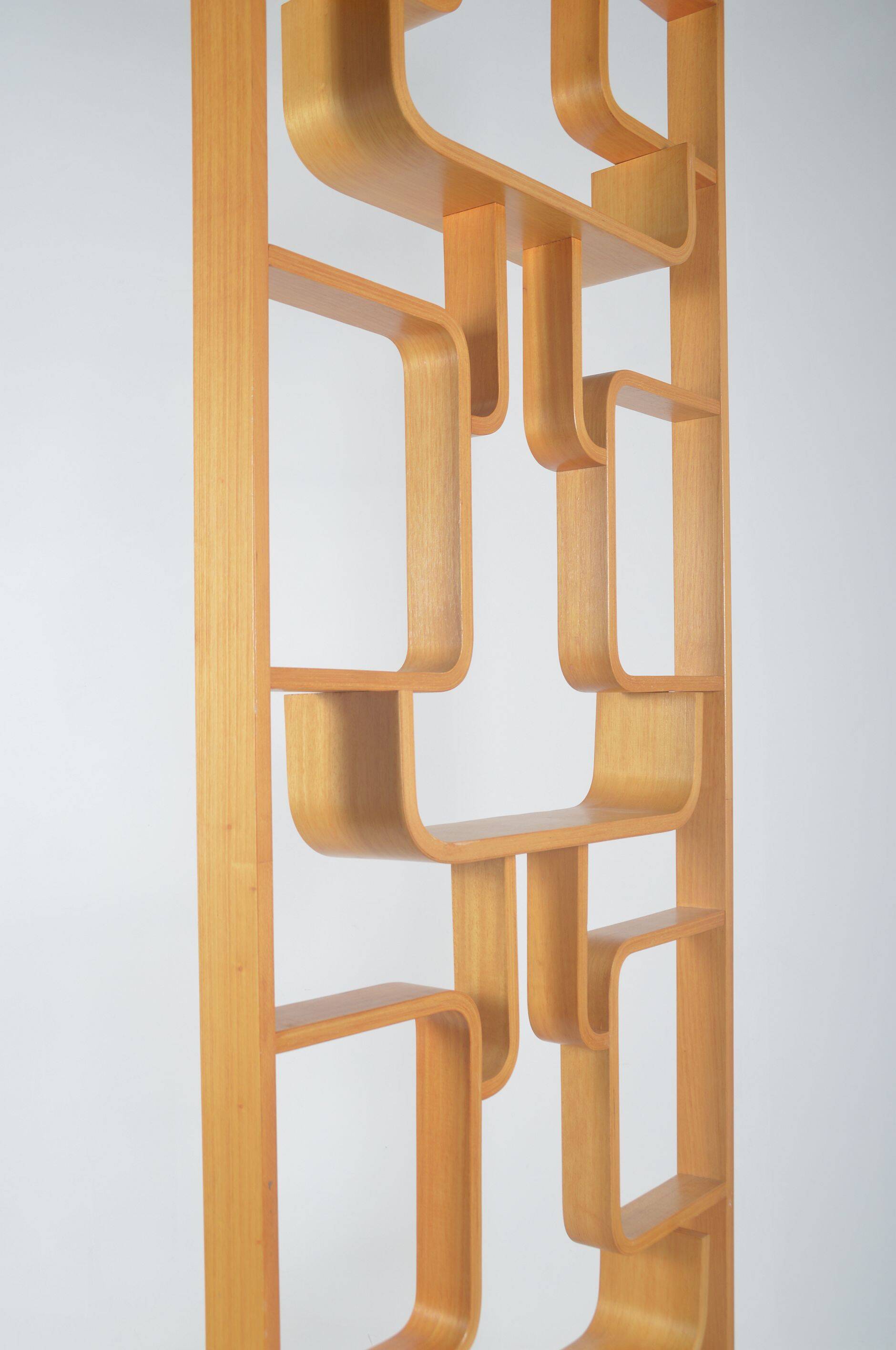Room divider designed by Volak for Drevopodnik Holesov, 1960s