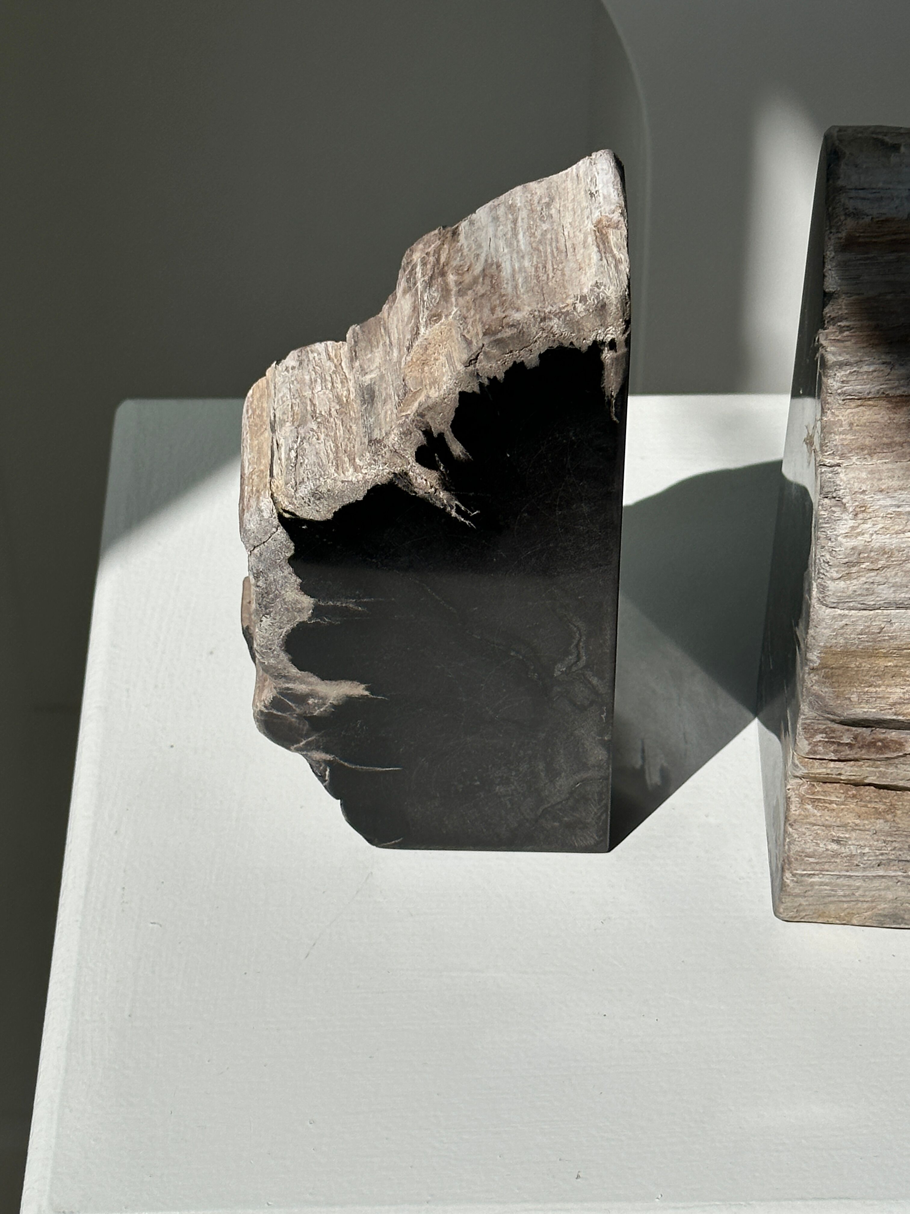 Black petrified wood bookend H17 L17 P6