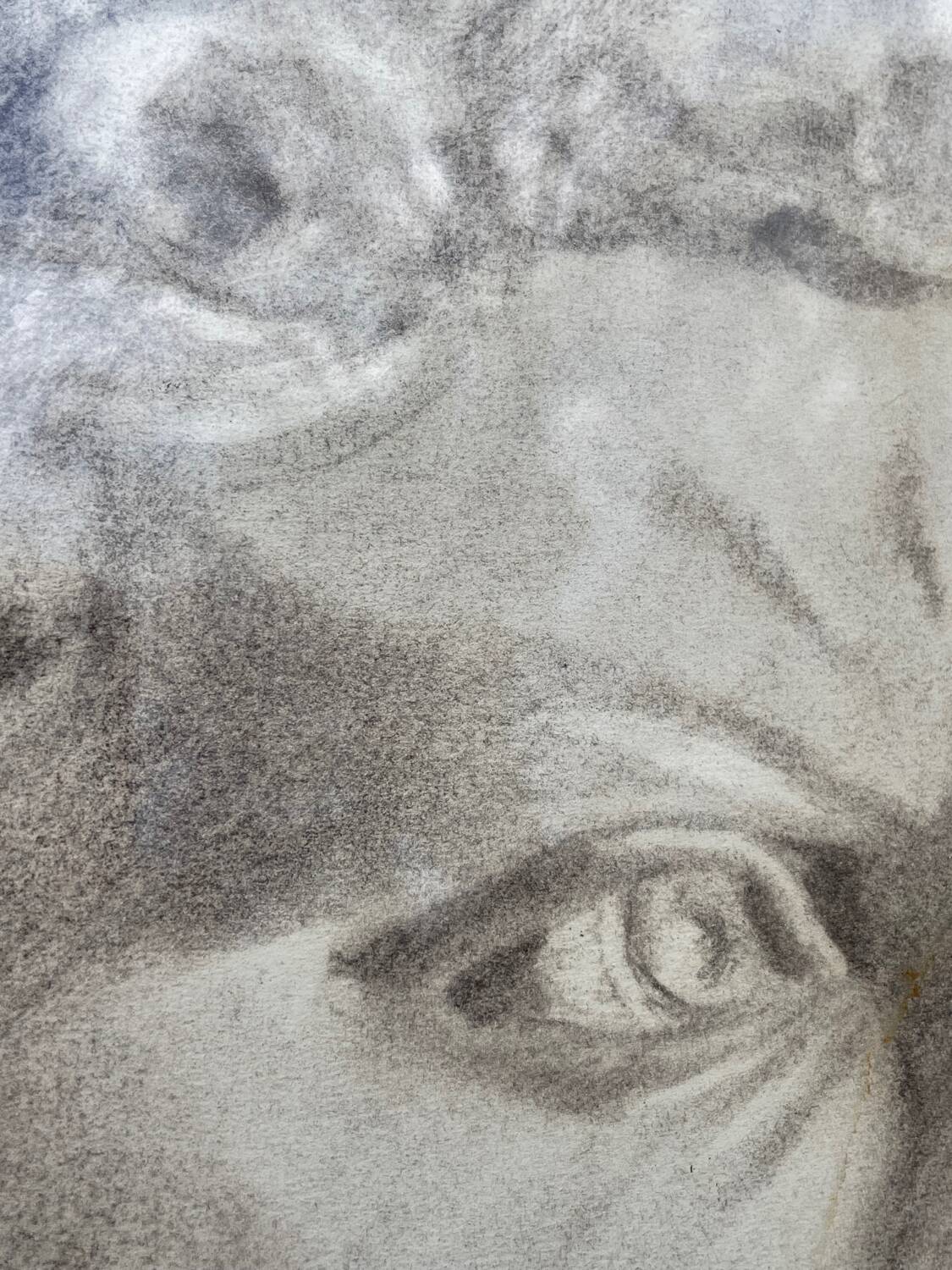 Pencil drawing of a bust