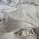Pencil drawing of a bust