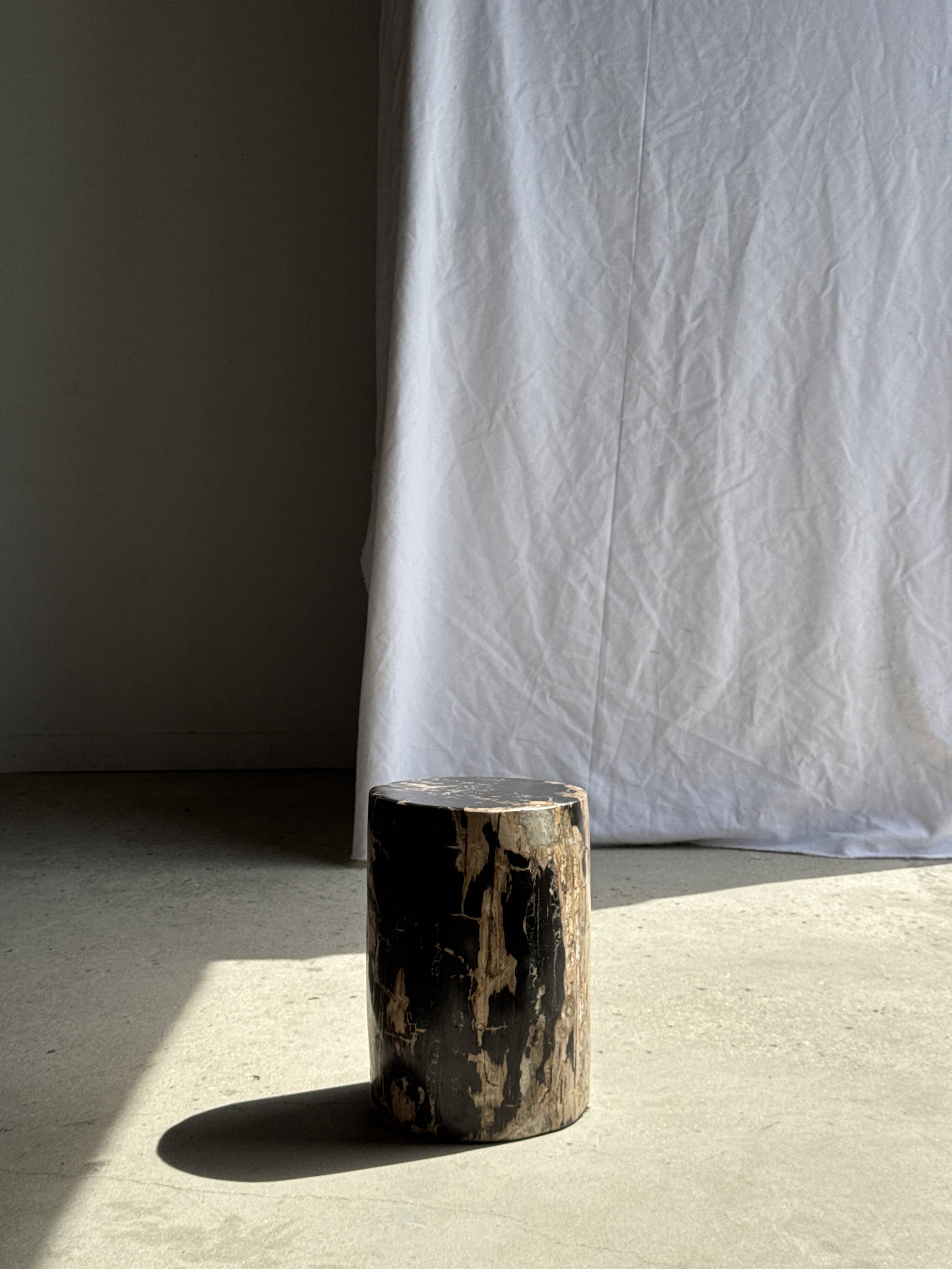 Black petrified wood side table with beige side H35 D24 - 3352